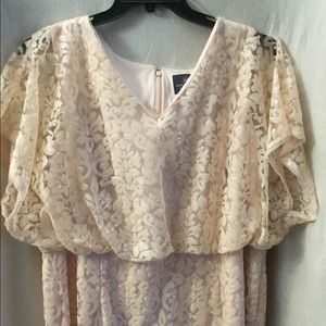 Adrianna Papell lace sequin long gown size 24